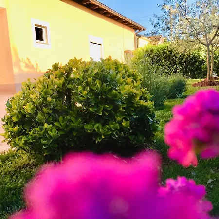 Ines Tatil Evi *